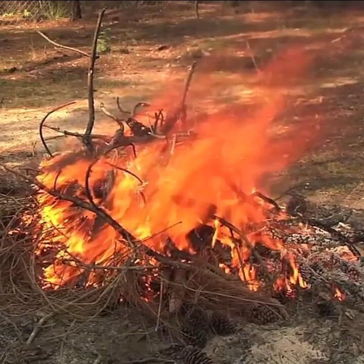 Ohio’s fall burning ban in effect to prevent rapidly spreading fires